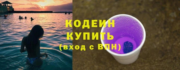 дмт Пересвет