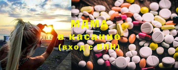 дмт Пересвет