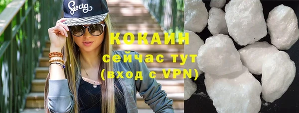 дмт Пересвет