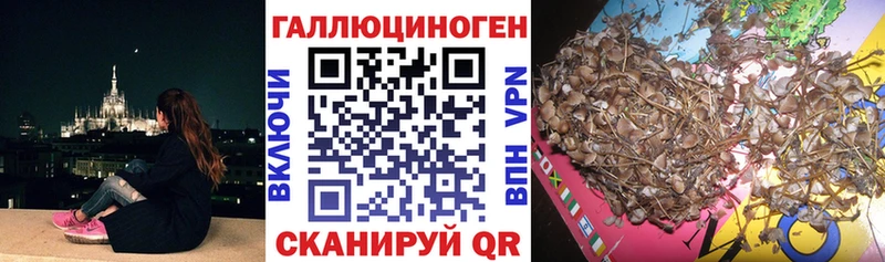 Псилоцибиновые грибы ЛСД  Инсар 
